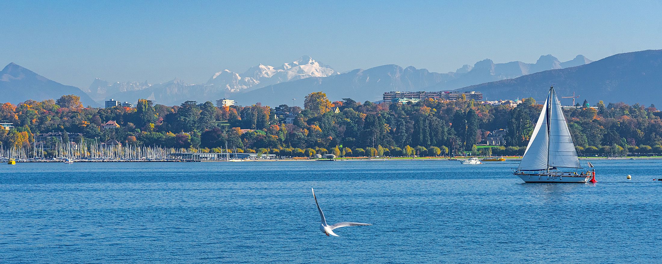 Genfersee mit Alpenpanorama